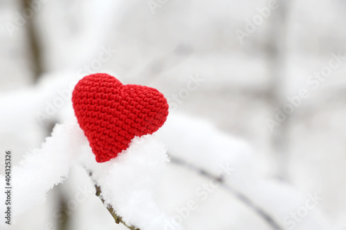 Valentine heart in winter forest  cold weather. Red knitted heart on snow covered branch  symbol of romantic love  background for holiday