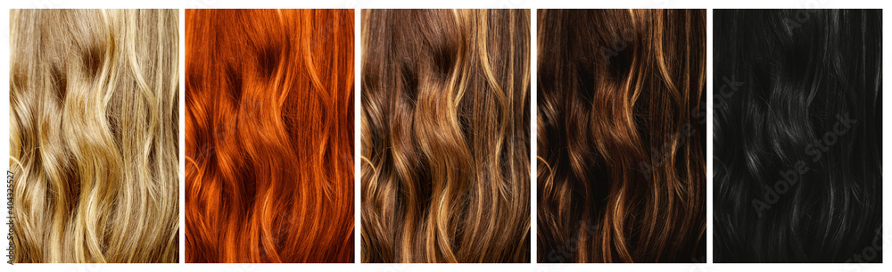 Naklejka premium Set of different natural hair color samples.