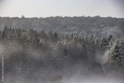 Nebellandschaft in einem verschneiten Wald im Taunus