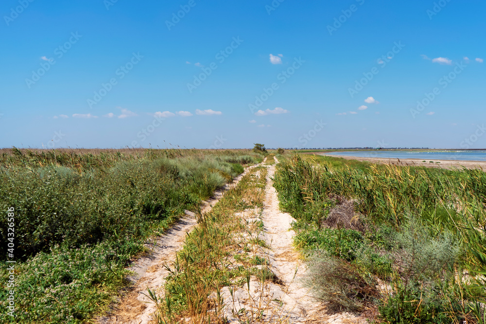 Obraz premium Path in Tuzly Amazonia lagoons wich is a part of Tuzly National Nature Park, Ukraine