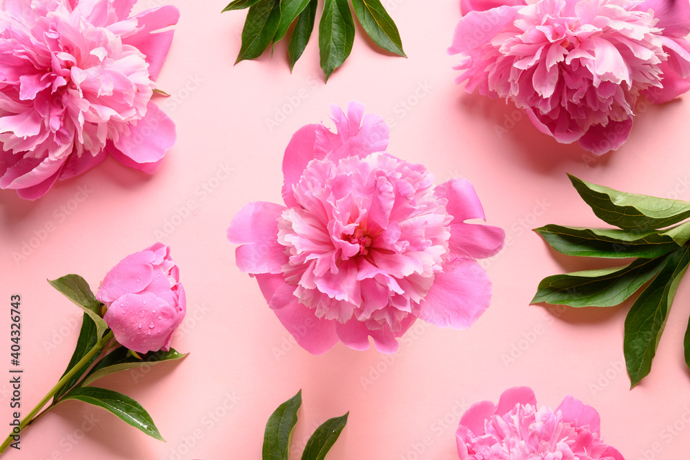 Floral pattern of pink peony flowers on pink background. Greeting card for 8th March or Mother day.