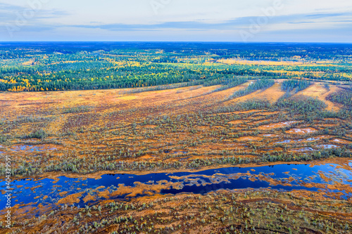 Jesienny krajobraz. Równina Zachodniosyberyjska. Widok z lotu ptaka. Niekończące się lasy i bagna Syberii.