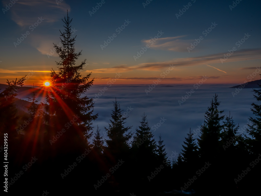 View from mountain range to the valley above fog and clouds at sunset,sun rays,mountain landscape,spruce trees,sun,blue sky,clouds, sunlight,temperature inversion. Jeseniky mountains,Czech Republic. .