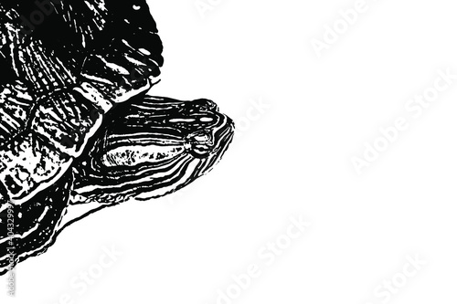 Black and white drawing of the snout of a red-eared turtle. Sketch of a close-up profile of an aquatic reptile. Vector illustration