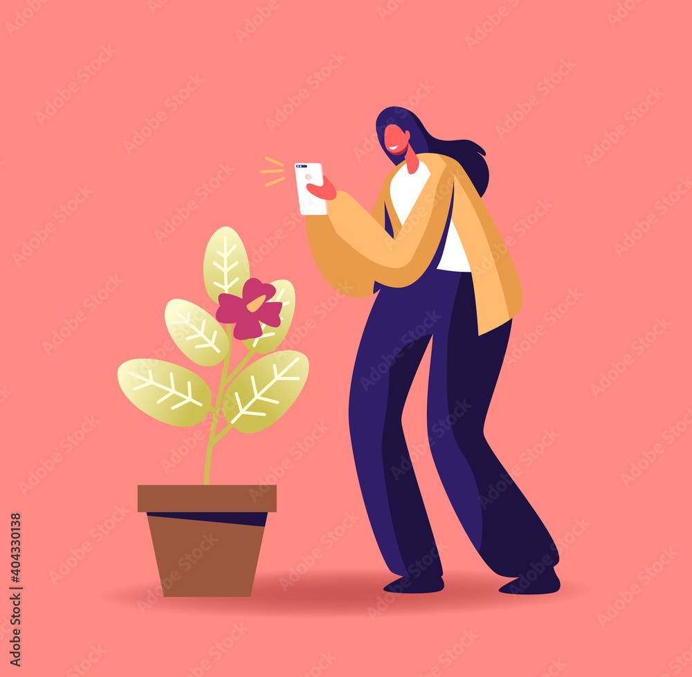 Φωτογραφία Woman Photographer Shoot Flower on Smartphone Photo Camera, Making Picture of Blossom