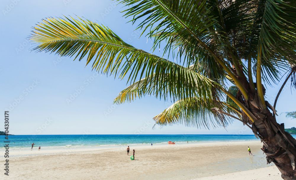 Beach of blue color ocean under green palms. Natural view under tropical sun. Happy vacation destination with blue water and sand