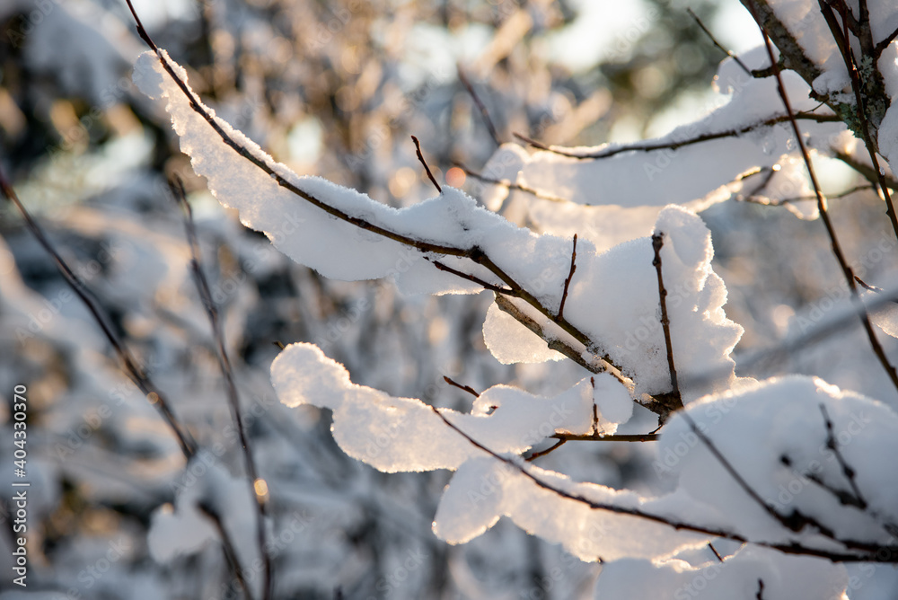 Fantastic landscape glowing by sunlight. Dramatic wintry scene. Kingisepp, Russia, Europe. Beauty world. Happy New Year Fantastic landscape glowing by sunlight. Dramatic wintry scene. Kingisepp, Russia, Europe. Beauty world. Happy New Year