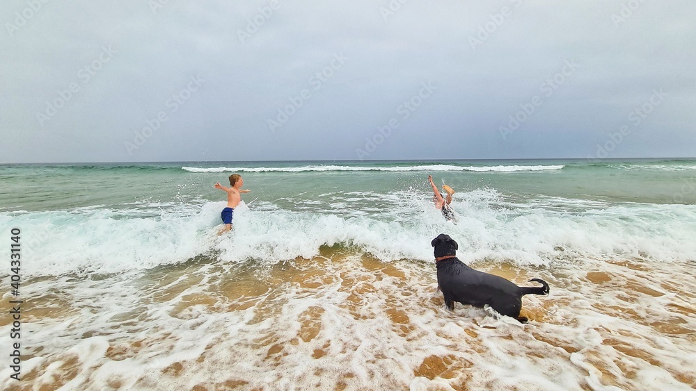 Φωτογραφία Two boys and rottweiler dog swimming in surf at the beach on NSW south coast, Au