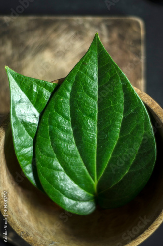 close up of a leaf