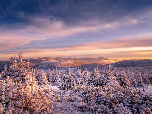 Beautiful harsh snow covered scenic landscape of a mountain range of Jeseniky mountains in late afternoon. Clouds,sky,sunlight. Spruce trees. .
