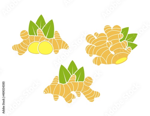 Ginger logo. Isolated ginger on white background