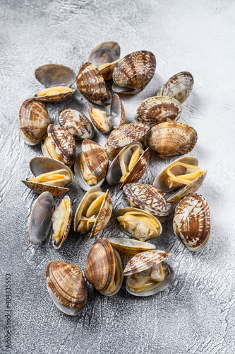 Fresh Steamed Clams on the kitchen table. White background. Top view © Vladimir