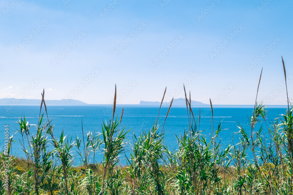 Obraz na plátně view of the gulf of Naples with the island of Capri in the background and vegeta