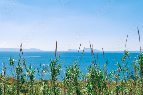 view of the gulf of Naples with the island of Capri in the background and vegetation in the foreground