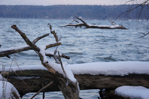 Winter am Ammersee