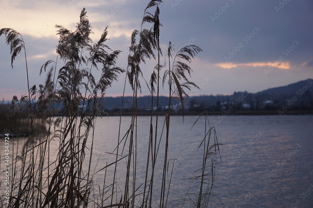 Obraz na plátně Ammersee