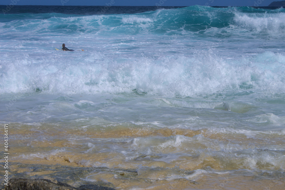 surfing the waves surfing the waves
