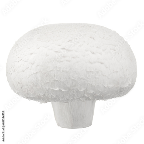 White champignon very close up on a white isolated background.