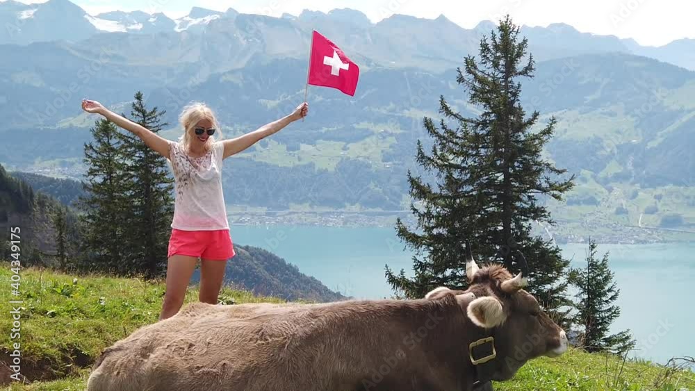 SLOW MOTION: girl with Swiss flag by a cow in alpine meadow along Rigi-Scheidegg railway with spectacular views of Swiss Alps, Schwyz basin, Lake Lucerne. Tourism in Lucerne area, Central Switzerland.