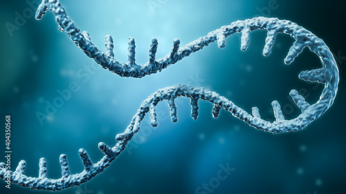 Messenger RNA or mRNA strand 3D rendering illustration with copy space. Genetics, science, medical research, genome replication concepts. photo