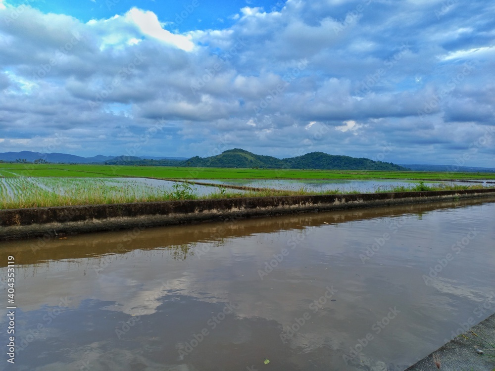 view of rice fields near the mountain view of rice fields near the mountain