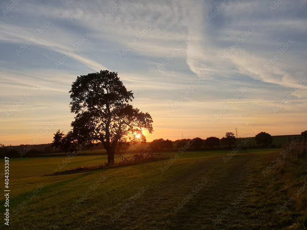Fototapeta premium sunset in the countryside