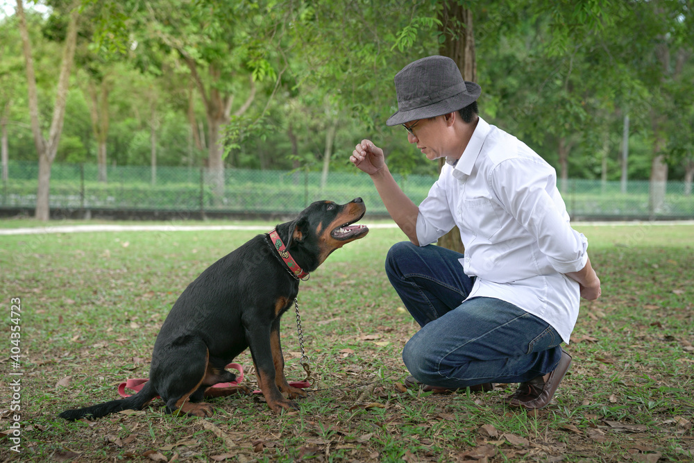 Adult man gives command to his pet dog. Dog training concept. Adult man gives command to his pet dog. Dog training concept.