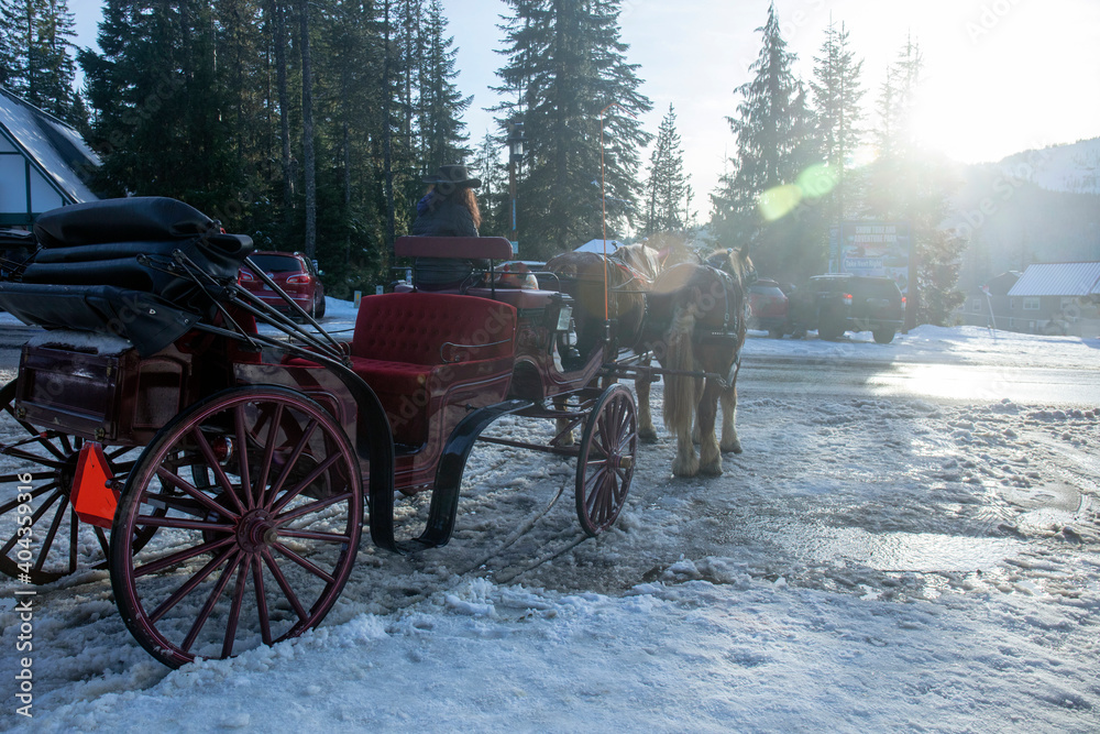 vintage horse carriage and coachman