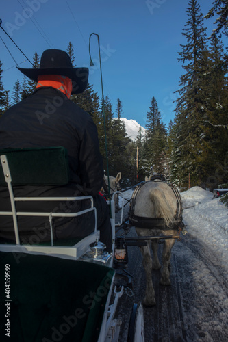 vintage horse carriage and coachman