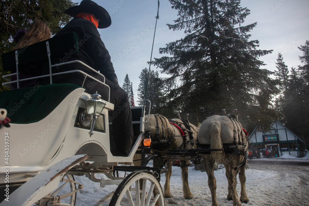 Φωτογραφία vintage horse carriage and coachman