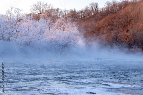 北海道冬の風景 阿寒郡阿寒町の樹氷と気嵐