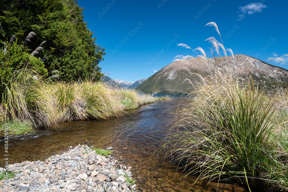 Φωτογραφία The Black Valley Stream as it enters Lake Rotoiti in Nelson Lakes National Park, New Zealand
