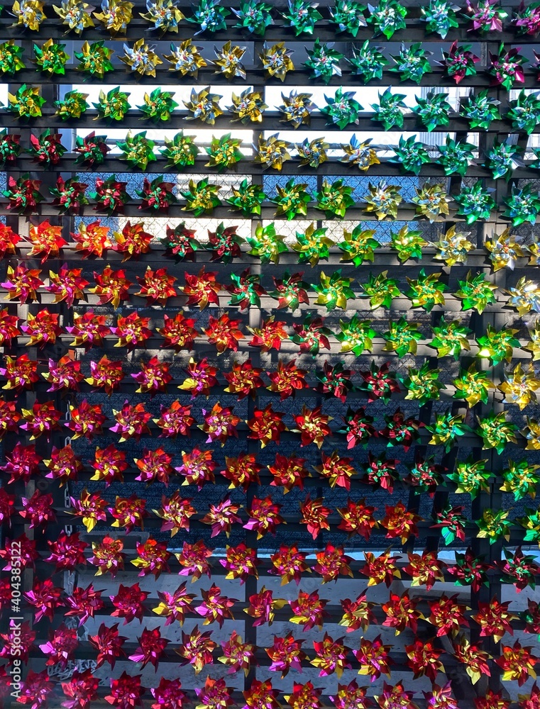 Fototapeta rainbow colored pinwheels