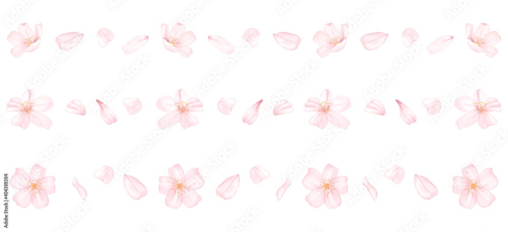 色々な桜の花びらのラインのセット　水彩風イラスト