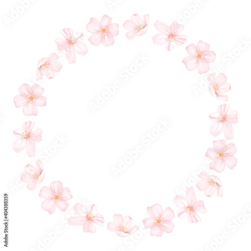 桜の花のフレーム 水彩風イラスト