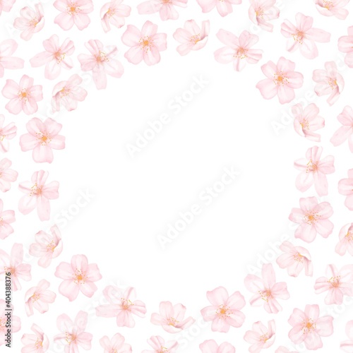 桜の花のフレーム 枠 水彩風イラスト