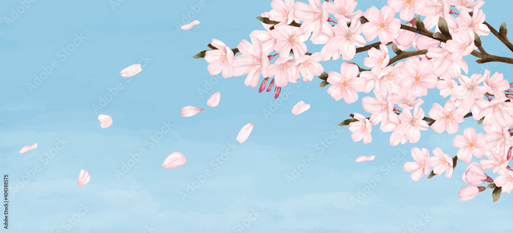 花びらが散る満開の桜 青空 水彩風イラスト Stock Vector Adobe Stock