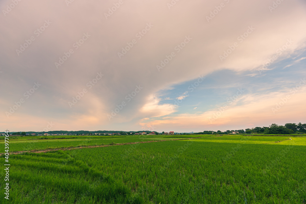 Background image of Chinese rural landscape, agricultural fields.