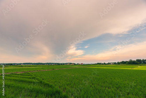 Background image of Chinese rural landscape  agricultural fields.