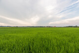 Background image of Chinese rural landscape, agricultural fields.