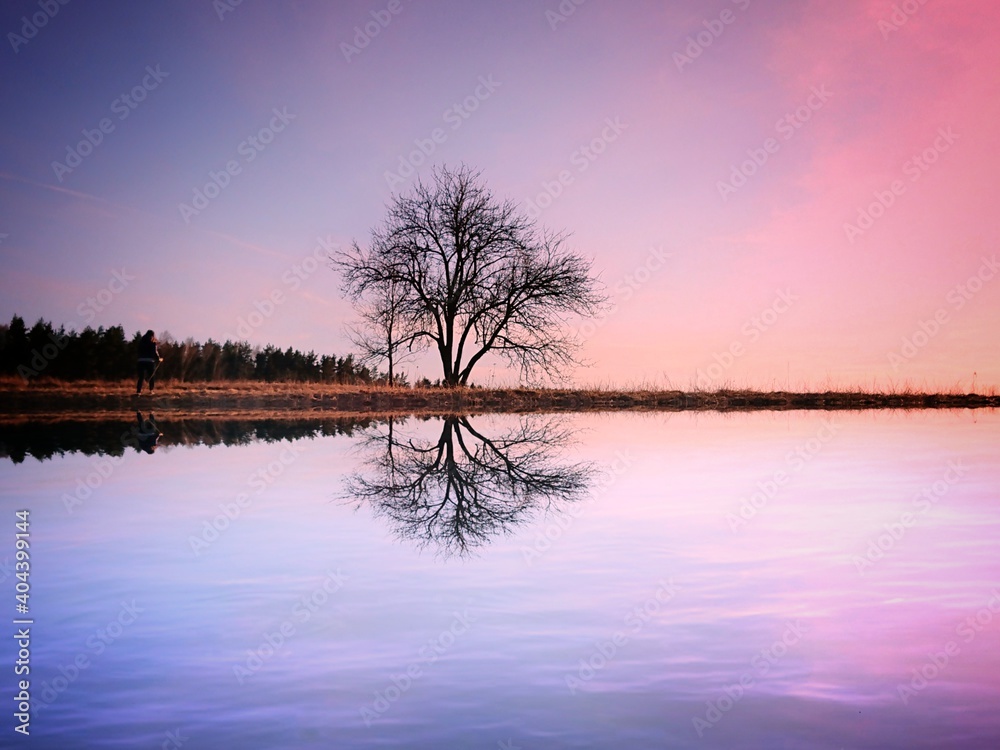 Bare Tree By Lake Against Romantic Sky At Sunset - obrazy, fototapety, plakaty 