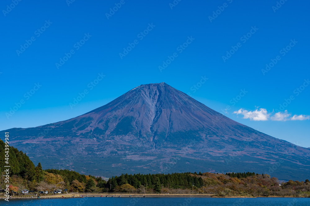 富士山 田貫湖 湖畔 富士山 田貫湖 湖畔