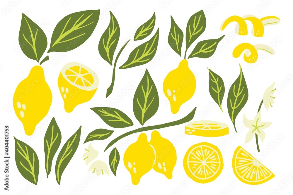 Obraz premium Lemon set. Exotic tropical yellow citrus fresh fruit collection, whole juicy lemons with green leaves and flowers, slice and peel. Vector cartoon minimalistic style isolated illustration