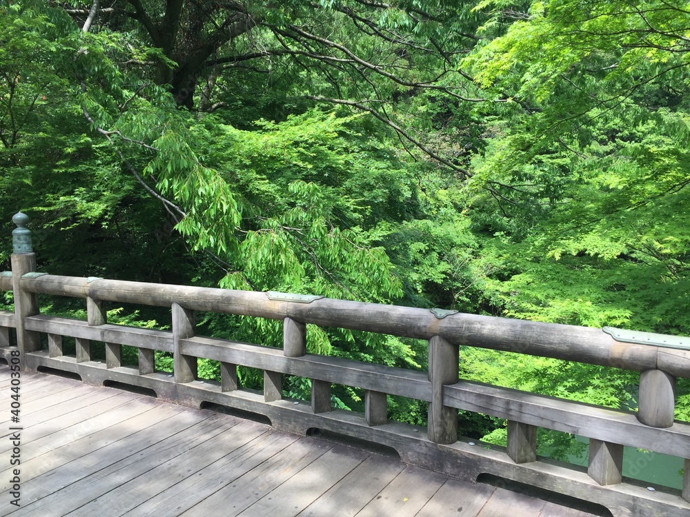 加賀市山中温泉の名勝・こおろぎ橋から眺める新録の鶴仙渓。 加賀市山中温泉の名勝・こおろぎ橋から眺める新録の鶴仙渓。