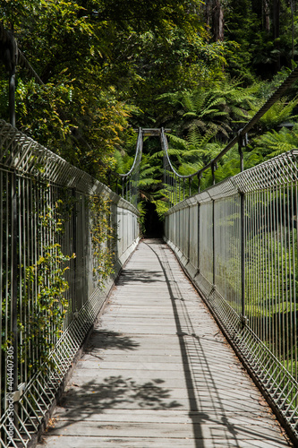 Suspension bridge in Tarra- Bulga national park crossing a river photo