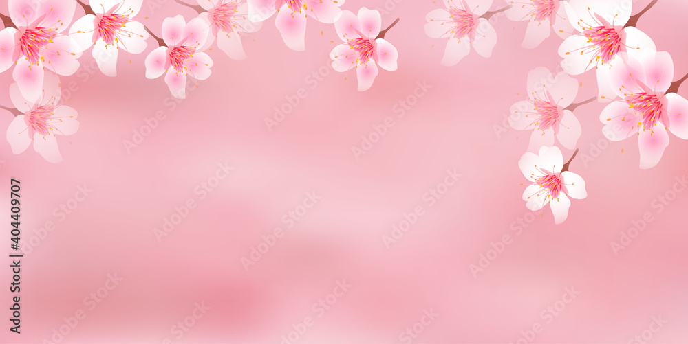 桜 風景 春 背景 桜 風景 春 背景