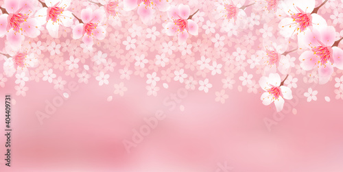 桜 風景 春 背景