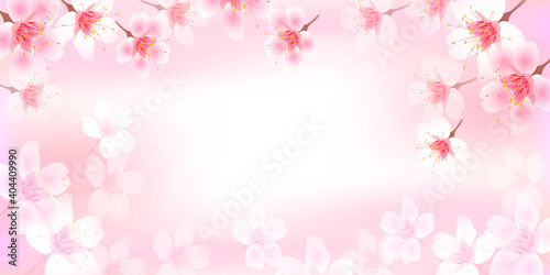 桜 風景 春 背景