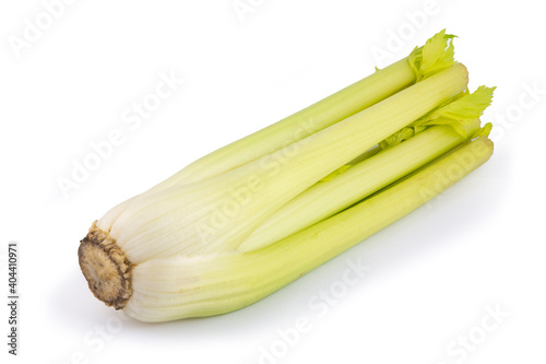 Celery isolated on a white background.