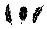 set of ink bird feathers in doodle style. hand-drawn illustration, black outline